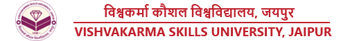 Rajasthan ILD Skills University (RISU) Logo