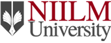 NIILM University Logo